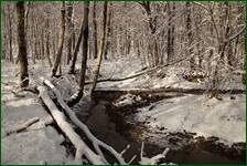 0_f1814_63a83af6_orig.jpg