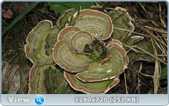 0_ea420_3405c41b_orig.png