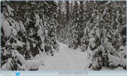 0_fc78b_3469c38c_orig.png