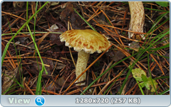 0_eacdc_16cc1e32_orig.png