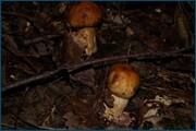 0_d240a_695d32e3_orig.jpg