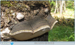 0_e355c_53045dcb_orig.png