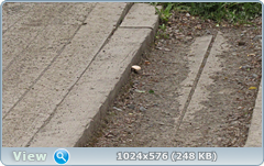 0_e7824_65fe986c_orig.png
