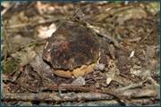 0_d25cb_dc1e4491_orig.jpg