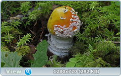 0_fbb72_8c9218f6_orig.png