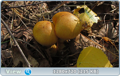 0_ef34f_f35bc12_orig.png