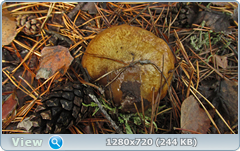0_f2734_cec2c608_orig.png