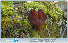 0_112ac1_e87c7082_orig.png