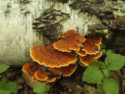 0_f1686_70b6140f_M.jpg