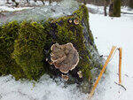 0_d3716_88eec507_S.jpg
