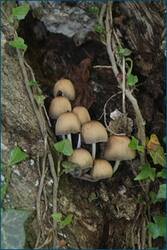 0_ce115_f4cfe568_orig.jpg