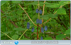 0_e786b_9ef8cc87_orig.png