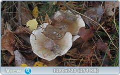 0_f2f68_eb2aa17_orig.png