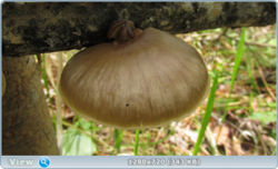 0_e3760_6cd0c82a_orig.png