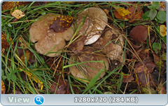0_f27e6_4e14ea11_orig.png