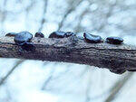 0_d3a37_72b1dec8_S.jpg