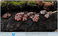 0_f561f_e13511cc_orig.png