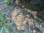 0_10efc9_6454b605_S.jpg