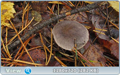 0_f2772_dc2d22eb_orig.png
