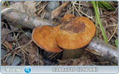 0_fc401_c984f4b3_orig.png