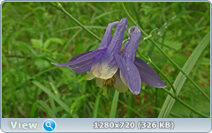 0_e6a36_50d90d35_orig.png