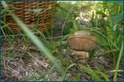 0_d3292_98146b95_orig.jpg
