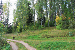 0_10b4db_78566aac_orig.png
