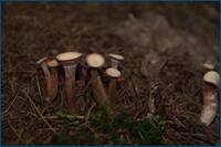 0_d4a8d_97757b4e_orig.jpg