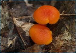 0_d2468_1864e139_orig.jpg