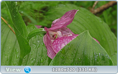 0_e6a62_5cdc31a0_orig.png