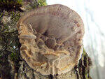 0_d2e39_80f2938_S.jpg
