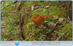 0_127674_a8fdaaf3_orig.png