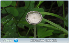 0_ead4e_49d43718_orig.png