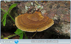 0_ead54_9e79902e_orig.png