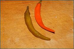 0_d0d86_1c8b9051_orig.jpg