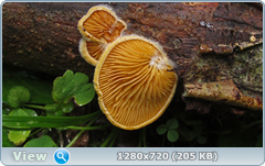 0_eb267_16ff73df_orig.png