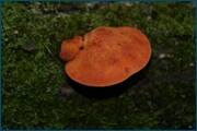 0_d2ac4_73337e6e_orig.jpg