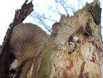 0_d371b_2a341a83_S.jpg