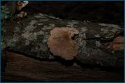 0_d2438_d45b66ac_orig.jpg