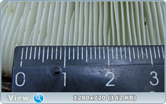 0_fbae8_fd404756_orig.png