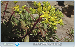 0_e7456_d0129350_orig.png