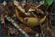 0_d2b02_c6518972_orig.jpg