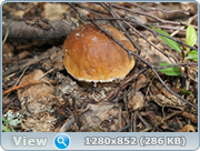 0_d4bd2_e5a22360_orig.png