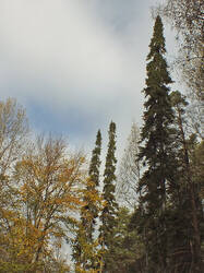0_bb1e5_418436b_L.jpg