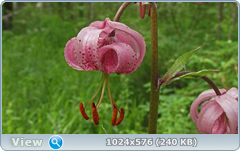 0_e784f_f0e68705_orig.png