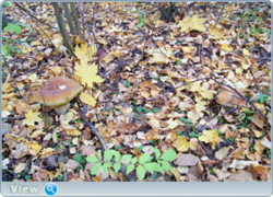 0_f473d_b07909e7_orig.png