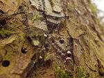 0_d36f8_87d22f7a_S.jpg