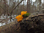 0_d39f3_8d57b699_S.jpg