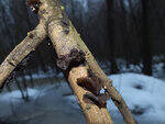 0_d3a45_955da298_S.jpg