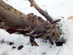 0_d3c53_20890022_S.jpg